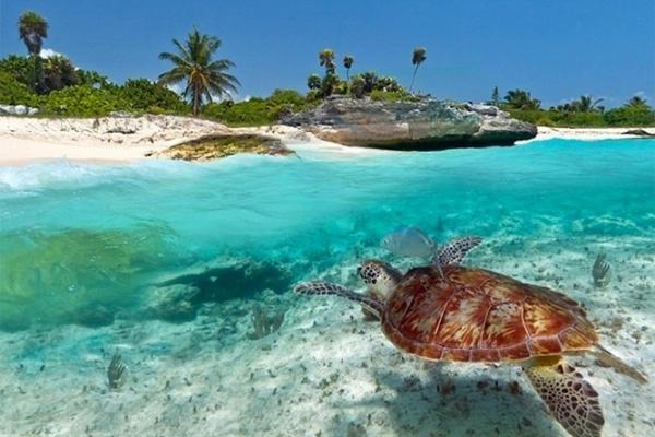 Kuwa Zanzibar Aparthotel Kiwengwa  ภายนอก รูปภาพ